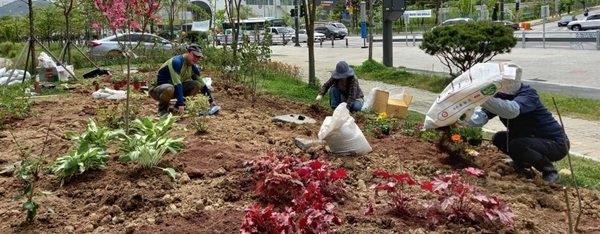 시민정원 조성 참여자들이 정원에 초화류를 식재하고 있다. 아산시