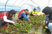 [홍성]군, 사회적농업 활성화 사업 공모