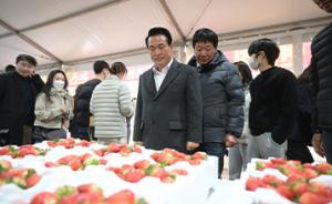논산딸기축제, 문화체육관광부 예비 축제 선정